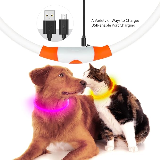 Flashseen LED Dog Collar, USB Rechargeable Glowing Lighted Up Collar, Cuttable Water-Resistant TPU