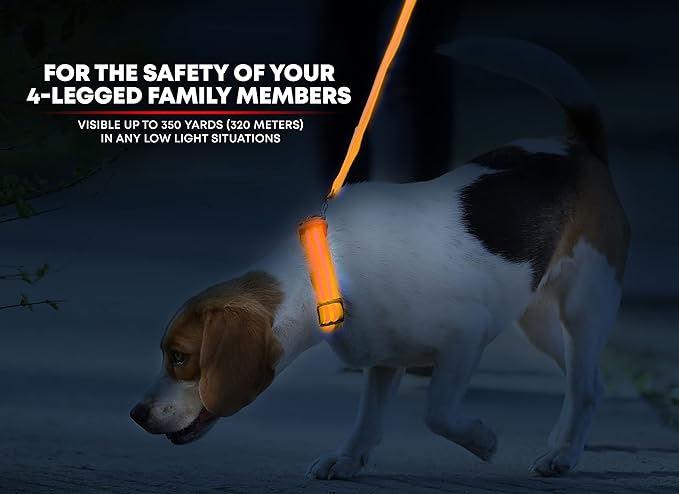 ILLUMISEEN LED Dog Collar USB Rechargeable - Bright & High Visibility Lighted Glow Collar for Pet