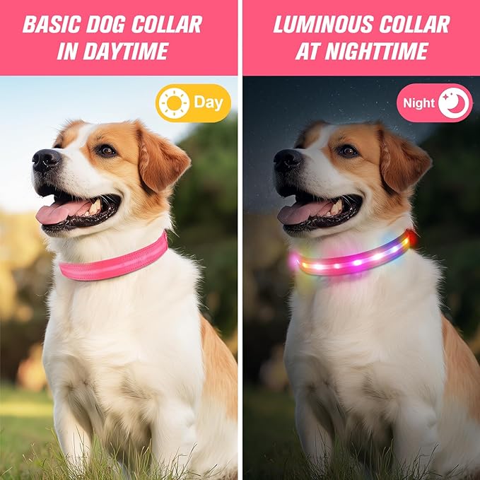 LED Dog Collar, Light Up Dog Collar, USB Rechargeable - Brightest Dog Lights for Night Walking, 6