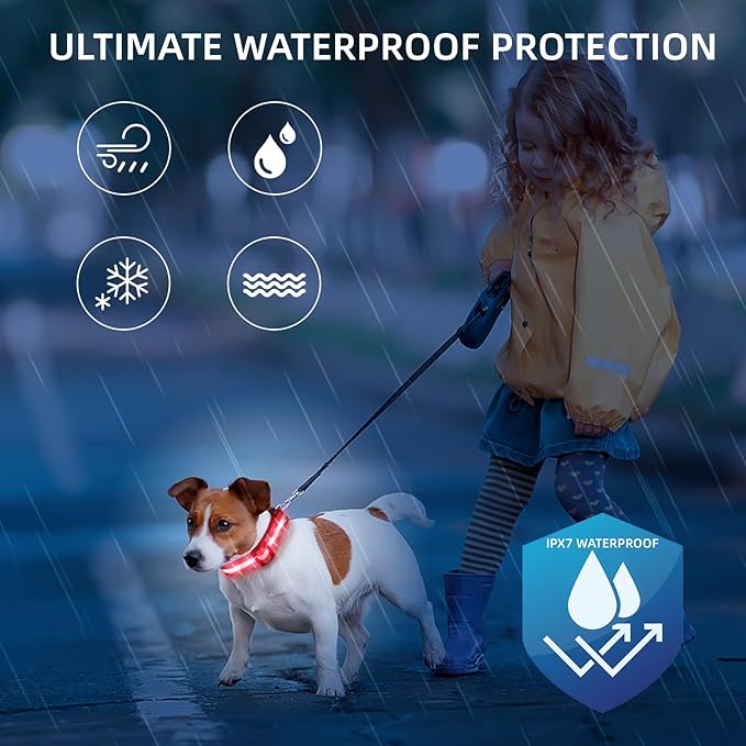 Super Bright LED Dog Collar - Fully Waterproof & Adjustable Glow Collar - USB-C Rechargeable for
