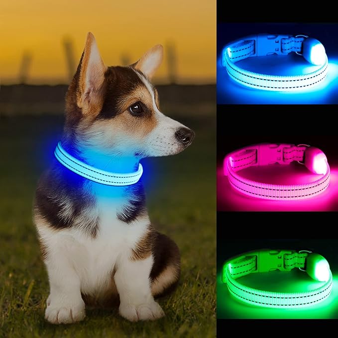 Light Up Dog Collar at Night, Led Dog Collar Adjustable, Rechargeable Waterproof, Dog Lights for