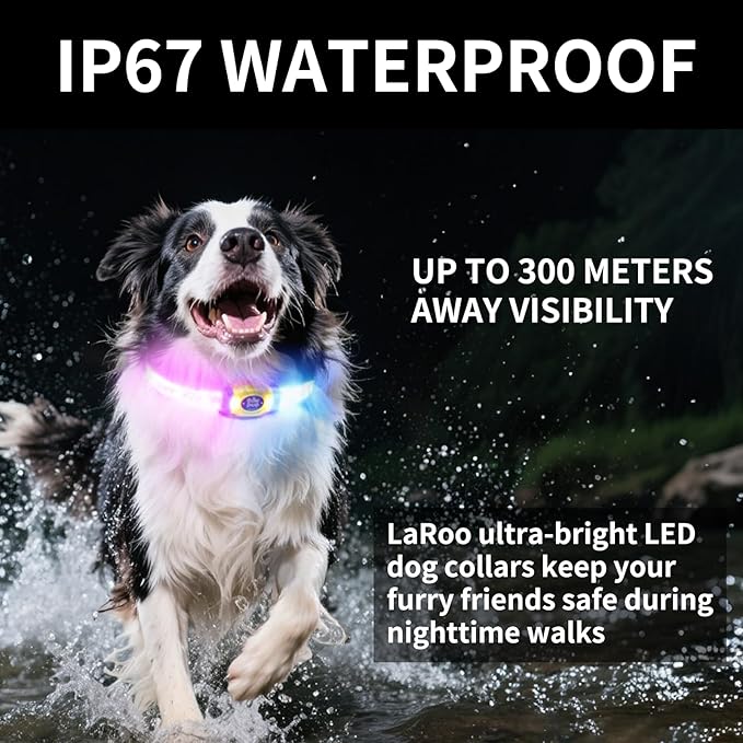 LaRoo LED Light Up Dog Collar, Type-C Rechargeable, Multi-Color Glowing Safety Pet Collar, Cuttable