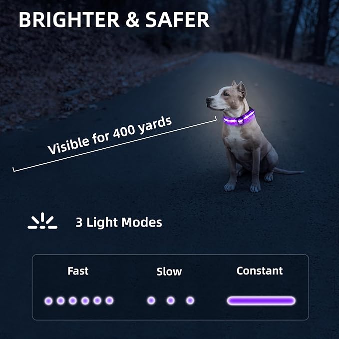Super Bright LED Dog Collar - Fully Waterproof & Adjustable Glow Collar - USB-C Rechargeable for