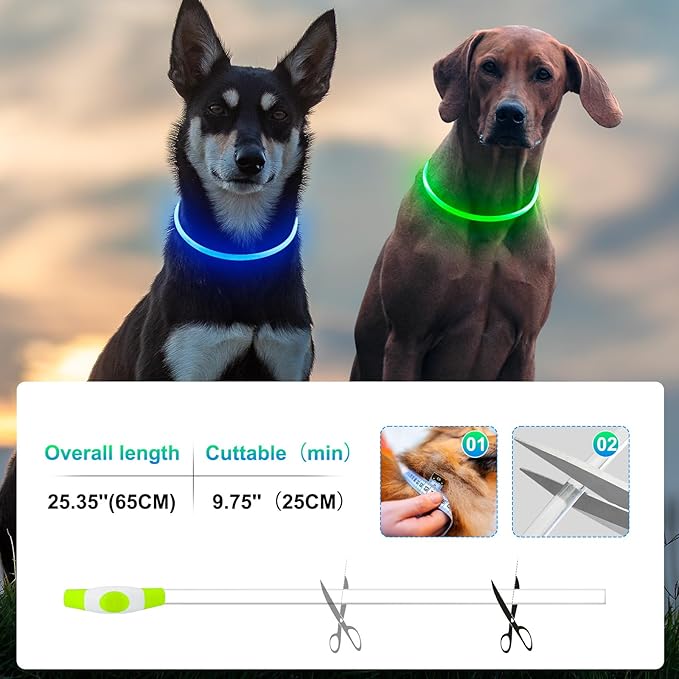 2 Packs Light Up Dog Collar, LED Dog Collar, USB Rechargeable Dog Lights for Night Walking
