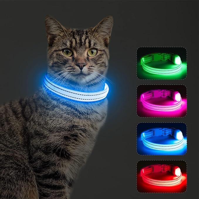 Light Up Dog Collar - Rechargeable Puppy Collar Glow in The Dark LED Dog Collar Lights for Small