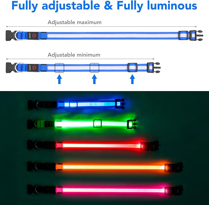 Vizpet LED Dog Collar, Light Up Dog Collar Adjustable USB Rechargeable Super Bright Safety Light