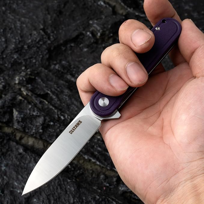 G040 Pocket Knife, 2.75'' D2 Steel Blade G10 handle, Small EDC Knife with Pocket Clip for Men