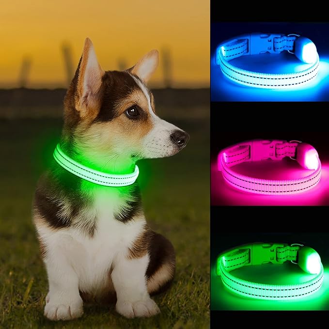 LED Dog Collar - Light Up, Adjustable, Rechargeable, Waterproof, Glow in Dark for Small Pets (S