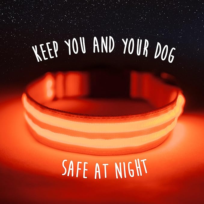 Mighty Paw LED Dog Collar - USB Rechargeable LED - High Visibility Glow Pet Strips - Weather
