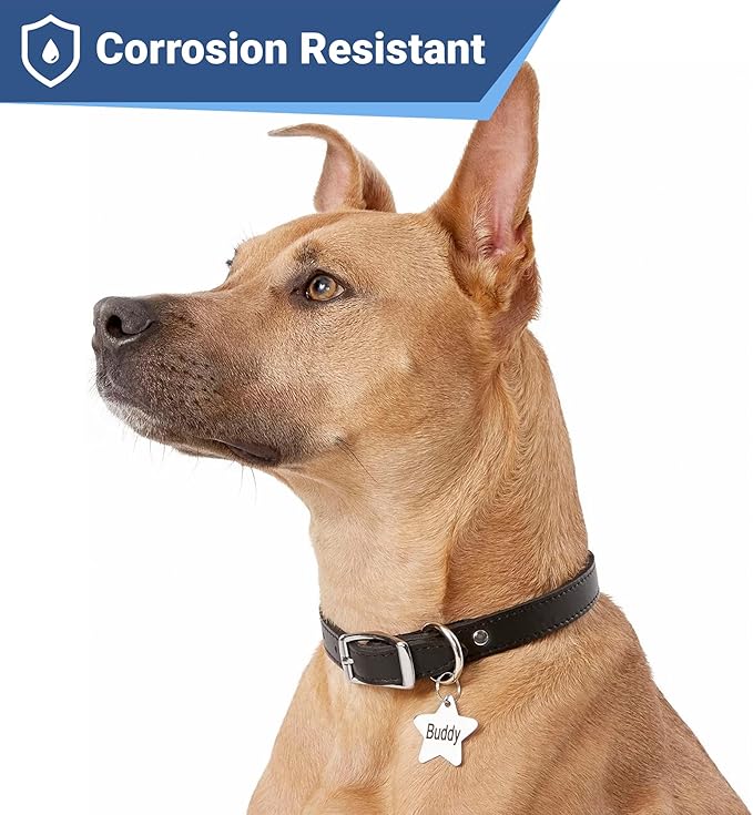 GoTags Stainless Steel Pet ID Tags, Personalized Dog Tags and Cat Tags, up to 8 Lines of Custom