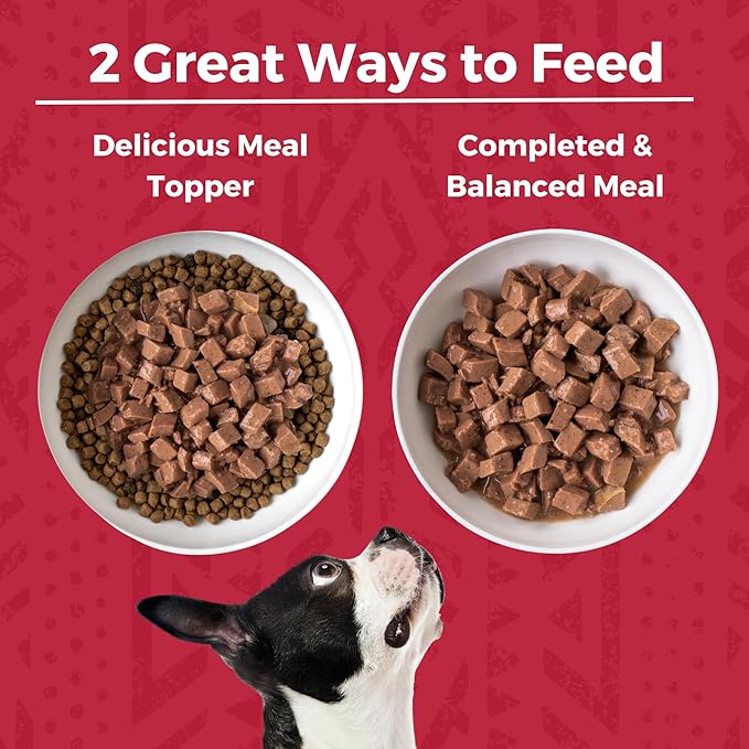 KOHA Minimal Ingredient Beef Stew for Dogs, High Protein Limited Ingredient Dog Food, 12.7oz Cans