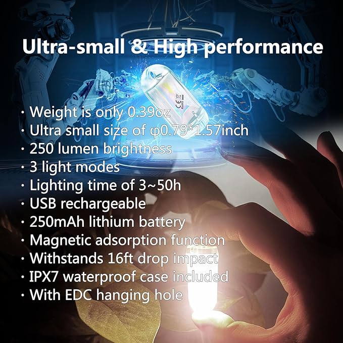 USB Mini LED Lantern, 2 Pack Waterproof EDC Keychain LED Flashlight for Camping, Type-C