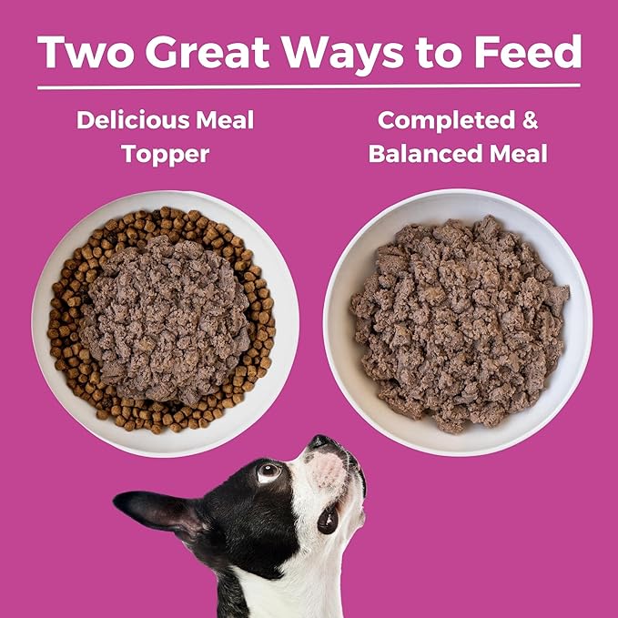 KOHA Limited Ingredient Diet Pork Entrée for Dogs- Sensitive Stomach Canned Dog Food - High