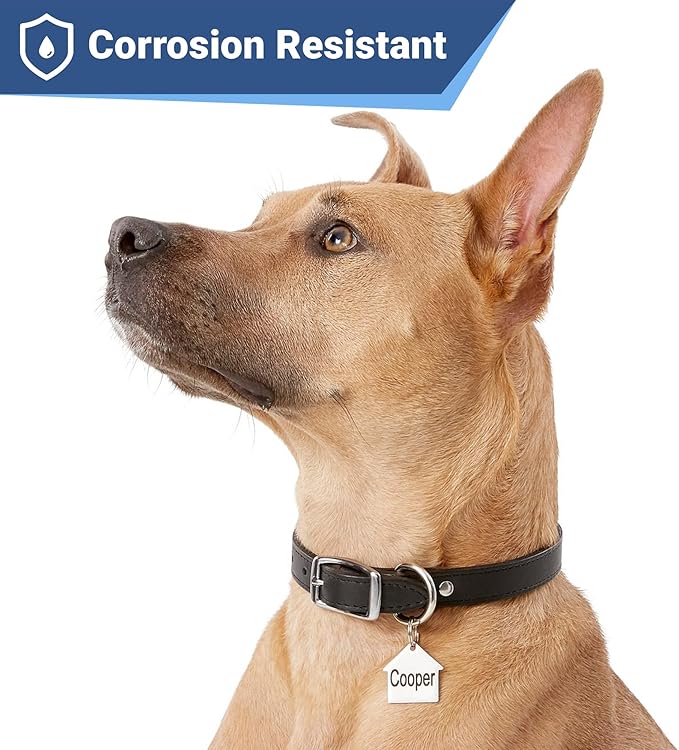 GoTags Stainless Steel Pet ID Tags, Personalized Dog Tags and Cat Tags, up to 8 Lines of Custom