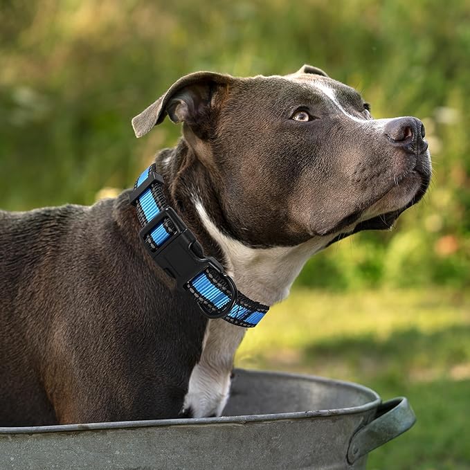 Mile High Life Dog Collar | Nylon Reflective Dog Collars | Light Weight Puppy Collars | Blue Dog
