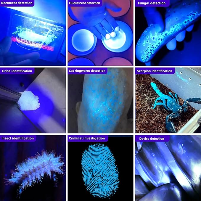 LIGHTFE Blacklight uv Flashlight 365nm UV304 UV Flashlight Rechargeable can be Used for UV Glue