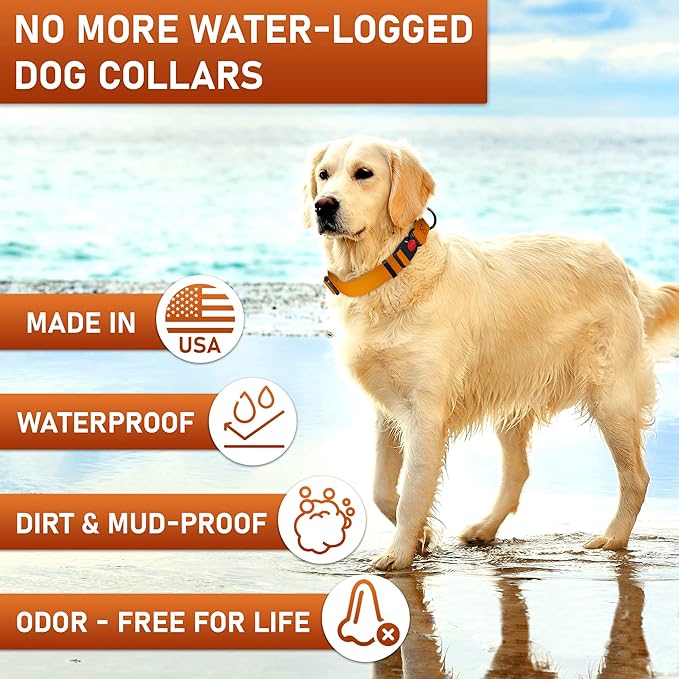Adjustable Dog Collar with Safety Lock Buckle - Made in USA - Honeycomb Waterproof Heavy Duty Dog