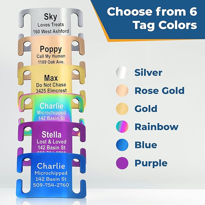 GoTags Reflective Personalized Dog Collar with Nameplate, Adjustable Dog Collar with Custom