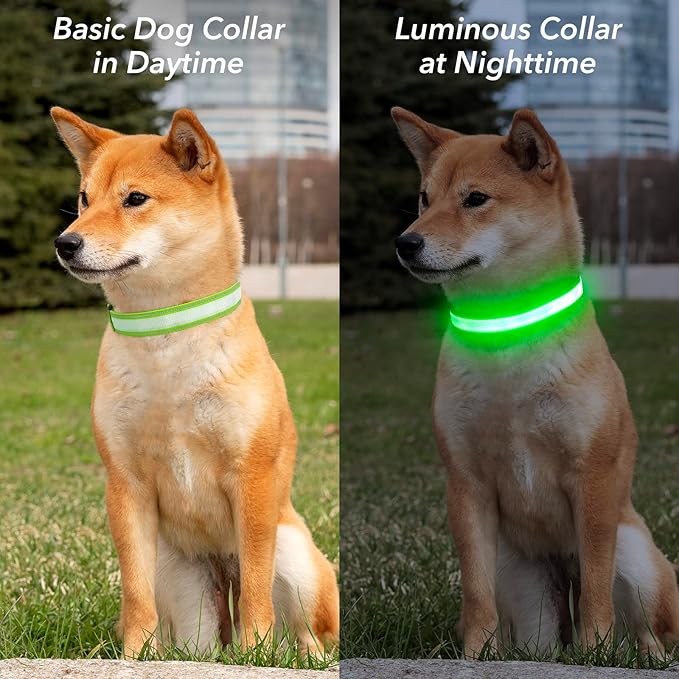 Visinite Light Up Dog Collar, Reflective LED Dog Collar, Adjustable Lighted Dog Collars