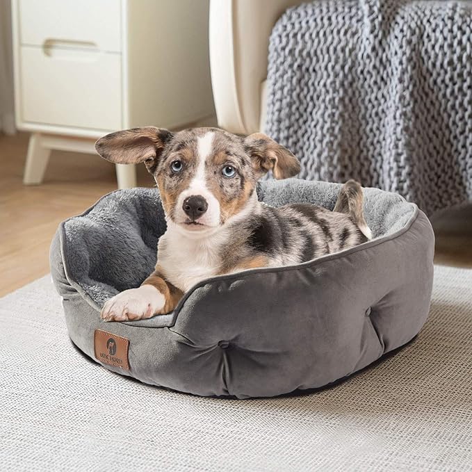 Asvin Medium Dog Bed for Medium Dogs, Cat Beds for Indoor Cats, Pet Bed for Puppy and Kitty, Extra