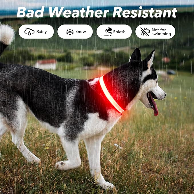 Visinite LED Dog Collar USB Rechargeable, Reflective Light Up Pet Collar for Night Walking