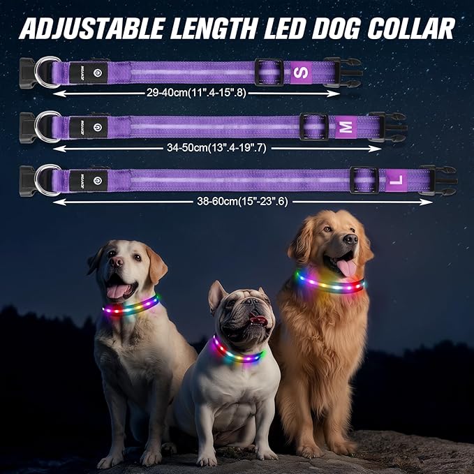 LED Dog Collar, Light Up Dog Collar, USB Rechargeable - Brightest Dog Lights for Night Walking, 6