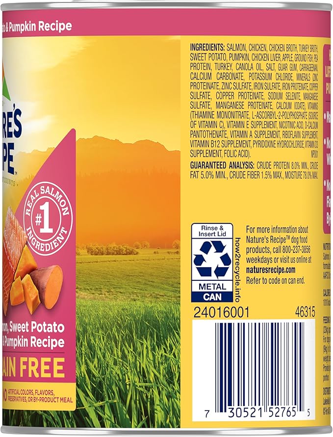 Nature's Recipe Grain Free Wet Dog Food Salmon, Sweet Potato, and Pumpkin Recipe, 13 oz. Can (Pack