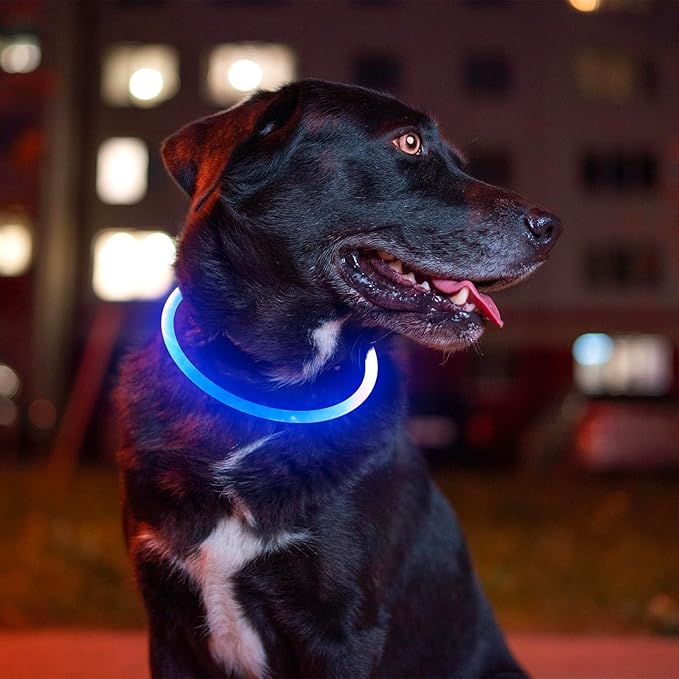 Light up Dog Collar, BSEEN USB Rechargeable Flash Dog Necklace Light, Pet Safety Collar Makes Your