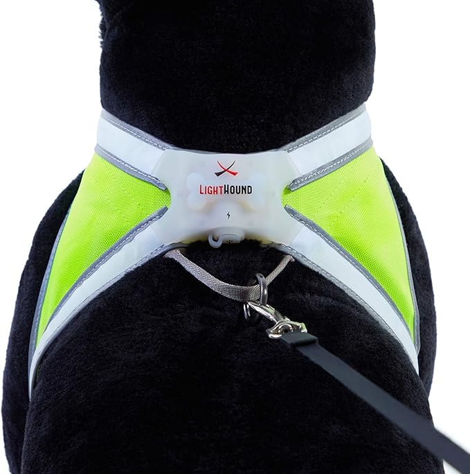 Noxgear LightHound ??Revolutionary Illuminated and Reflective Harness for Dogs Including