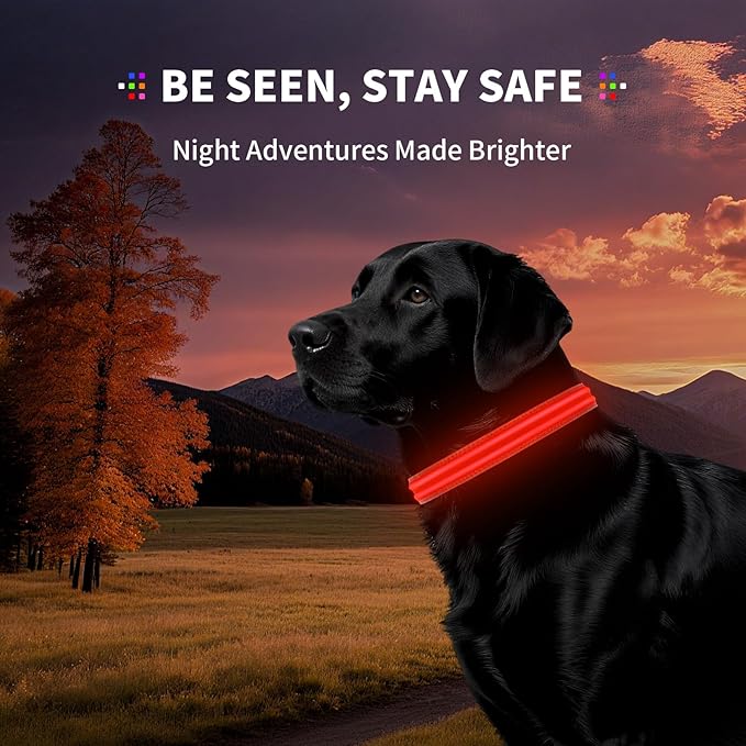 LED Dog Collar with Metal Buckle - USB Rechargeable Glow Collar for Dogs, Waterproof Light Up Dog