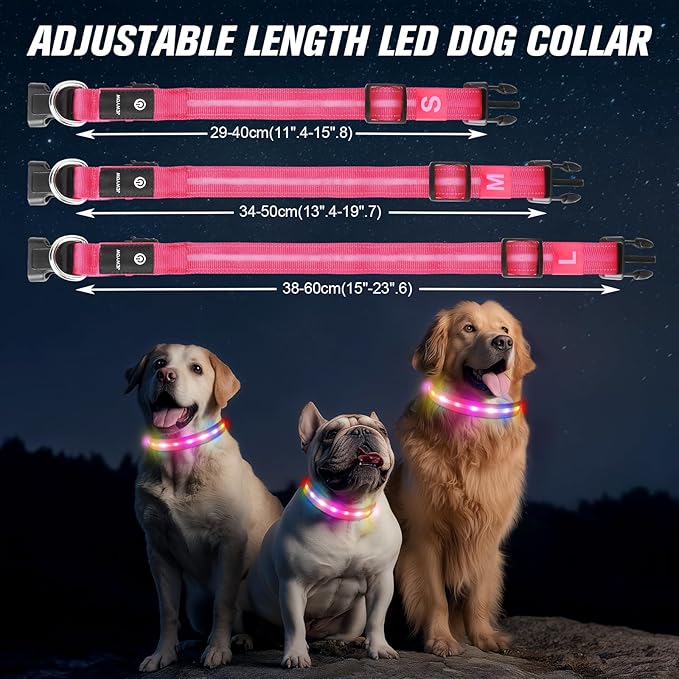LED Dog Collar, Light Up Dog Collar, USB Rechargeable - Brightest Dog Lights for Night Walking, 6