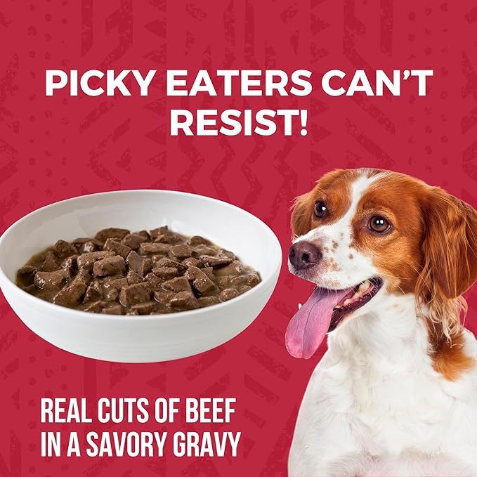 KOHA Minimal Ingredient Beef Stew for Dogs, High Protein Limited Ingredient Dog Food, 12.7oz Cans