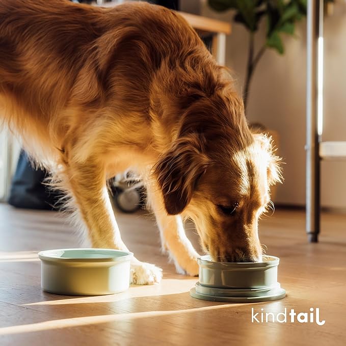 KindTail Dog Travel Bowls - Set of 2 Portable Pet Food & Water Dishes with Lid & Handle - Each