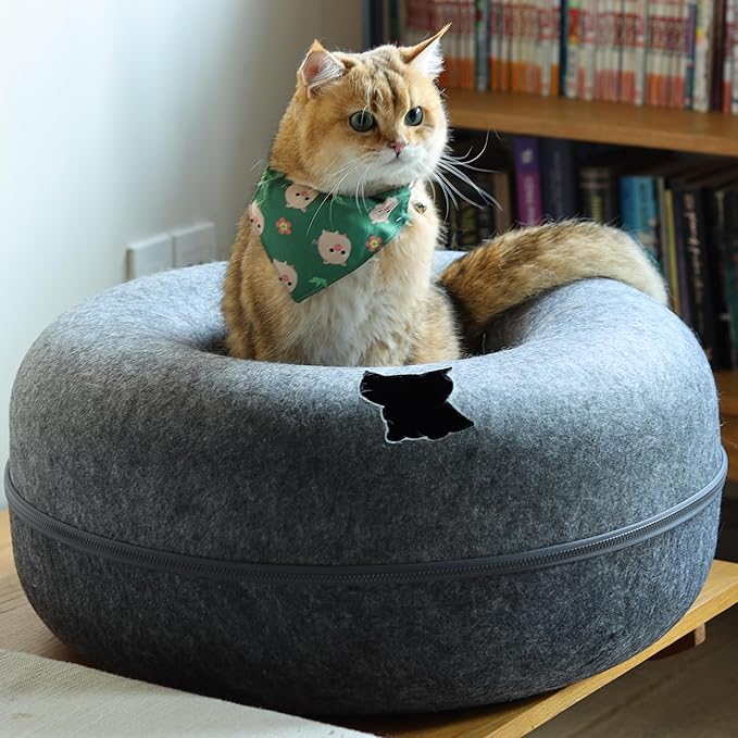 Cattasaurus Peekaboo Cat Cave, Extra Spacious for Multiple & Large Cats 12+ lbs, Scratch Detachable