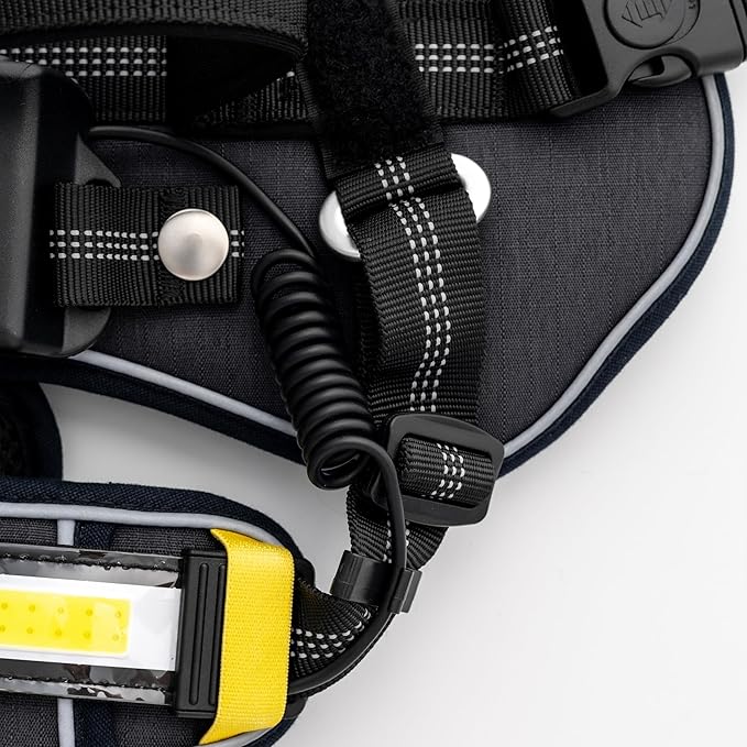 Lumi One LED Dog Harness for Night Visibility and Safety, Patent Pending ??High-Visibility Light-Up