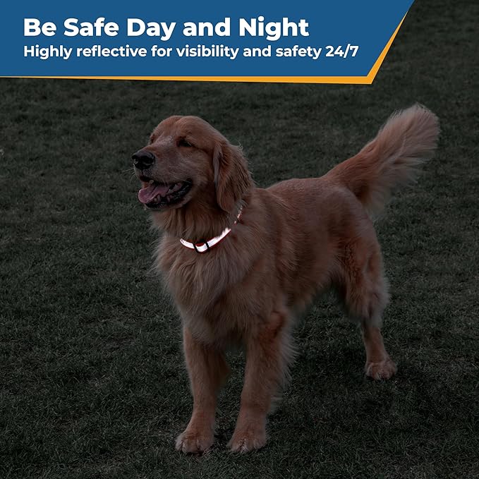 GoTags Reflective Personalized Dog Collar, Custom Embroidered Safety Collar with Pet Name and Phone