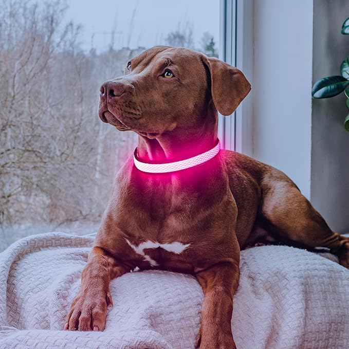 Flashseen LED Dog Collar, USB Rechargeable Light Up Dog Collar Lights, Adjustable Comfortable Soft