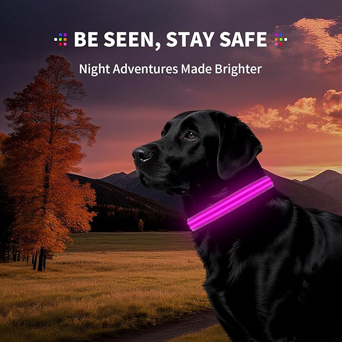 LED Dog Collar with Metal Buckle - USB Rechargeable Glow Collar for Dogs, Waterproof Light Up Dog