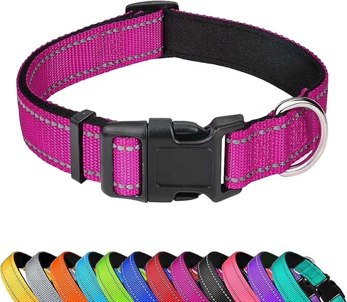 Reflective Dog Collar, Adjustable Soft Neoprene Padded Nylon Pet Collars with Buckle for Small