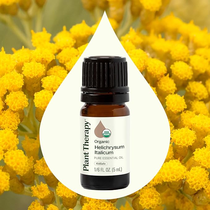 Plant Therapy Organic Helichrysum Italicum Essential Oil 100% Pure, USDA Certified Organic