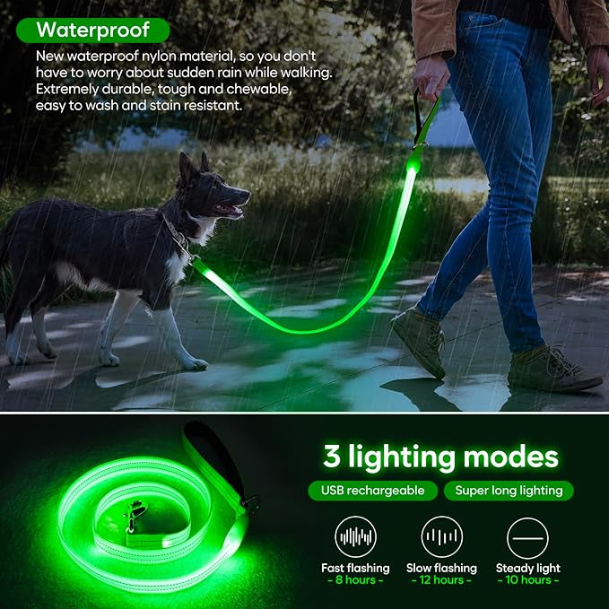 LED Dog Leash, Light Up Dog Leash 4 Ft Fully Illuminated USB Rechargeable Waterproof, Nylon