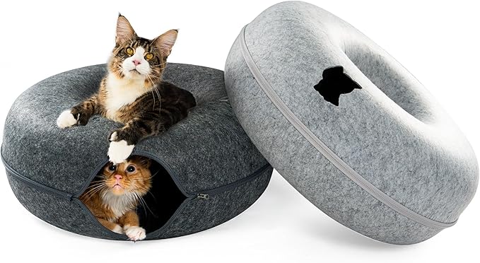 Cattasaurus Peekaboo Cat Cave, Extra Spacious for Multiple & Large Cats 12+ lbs, Scratch Detachable