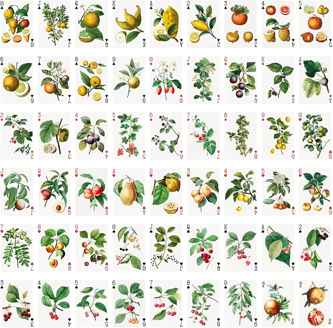 Fruits and Berries Playing Cards (Poker Deck 54 Cards All Different) Vintage Antique Botannical