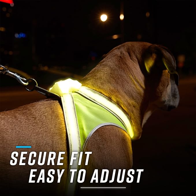 Noxgear LightHound ??Revolutionary Illuminated and Reflective Harness for Dogs Including