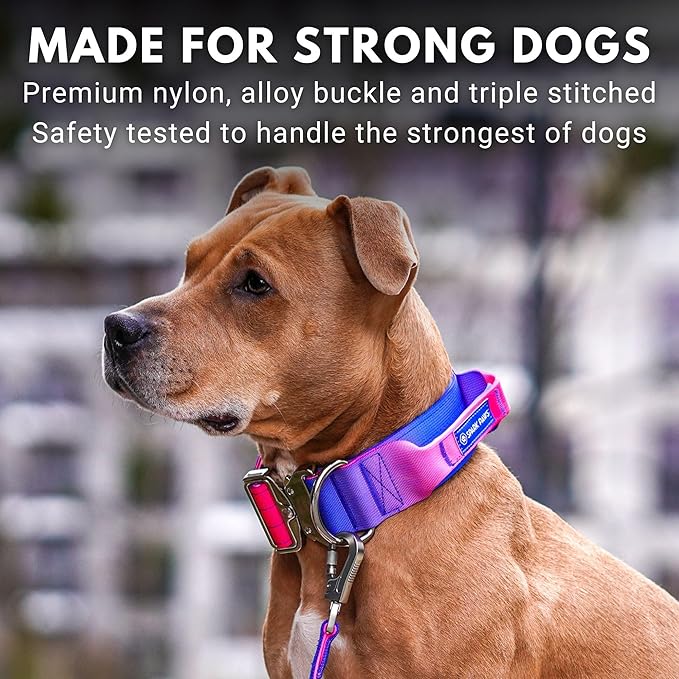 Tactical Dog Collar with Handle - Premium Quality Collar, Robust and Durable Design for Large