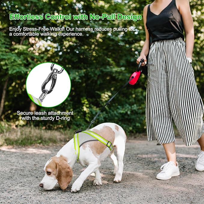 Visinite LED Dog Harness, USB Rechargeable Light Up Dog Vest, 2 Illuminate Modes Glow in The Dark