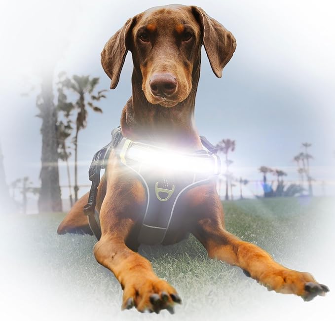 Lumi One LED Dog Harness for Night Visibility and Safety, Patent Pending ??High-Visibility Light-Up