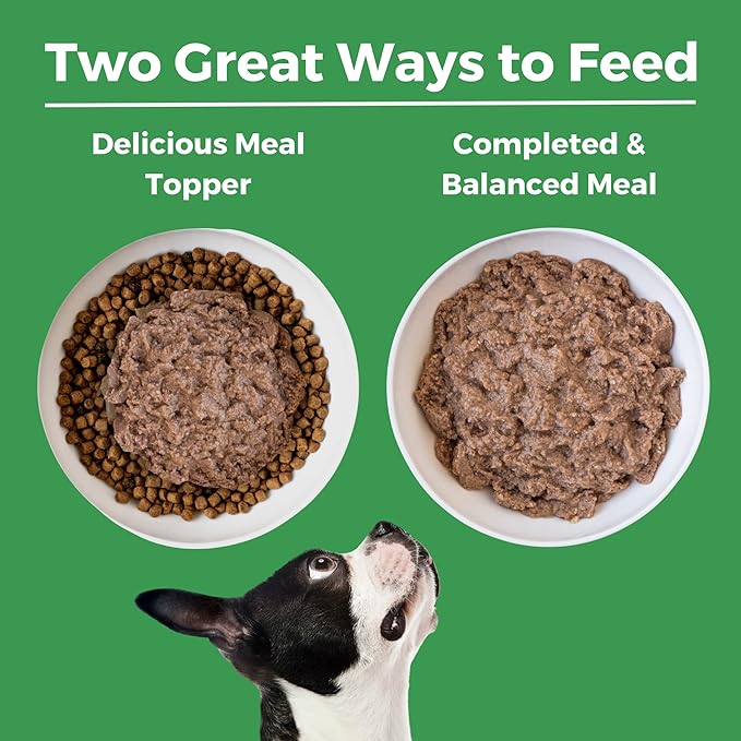 KOHA Limited Ingredient Diet Turkey Entrée for Dogs - Grain Free Wet Dog Food with No Fillers