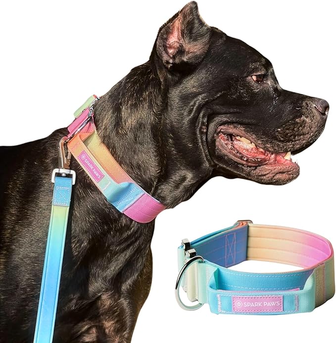 Tactical Dog Collar with Handle - Premium Quality Collar, Robust and Durable Design for Large