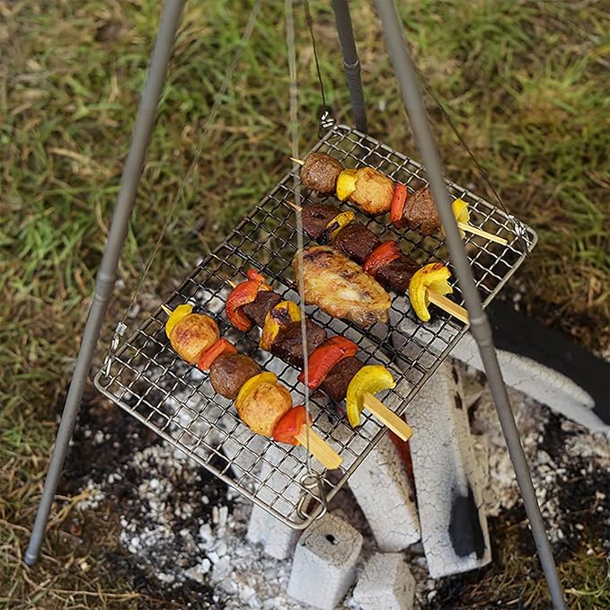 Boundless Voyage Mini Size Durable Titanium Charcoal BBQ Grill Plate Include a Carry Bag for